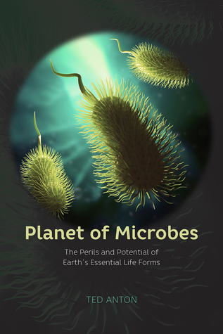 Planet of Microbes Close up of microbes.