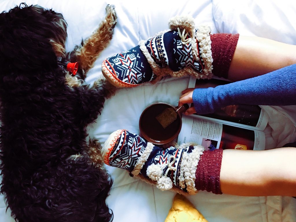 tea, slippers, book, dog, person.