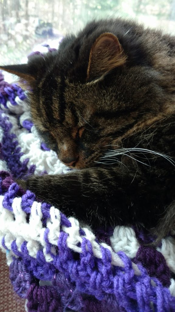 Simon Baker, a fluffy brown tabby sleeping on a purple and white woven blanket, with elegant white whiskers