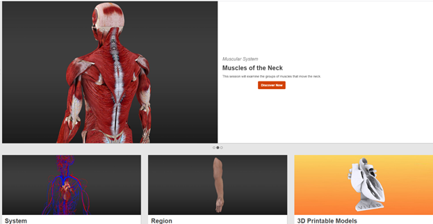 A screenshot from Gale Interactive: Human Anatomy of the Muscular System: Muscles of the Neck, showing System, Region, and 3D Printable Models options at the bottom