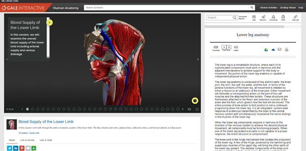 Gale Interactive: Human Anatomy screen shot of Blood Supply of the Lower Limb, with a reference article to the right about Lower leg anatomy