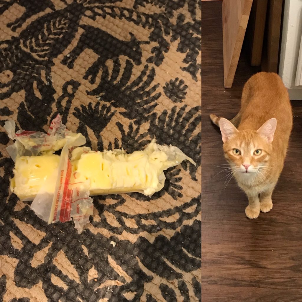 A photo collage documentation of the crime: On the left, a mangled and chewed on stick of butter, wrapper shredded. On the right, a petite adult orange cat with a face that isn't nearly guilty enough. 