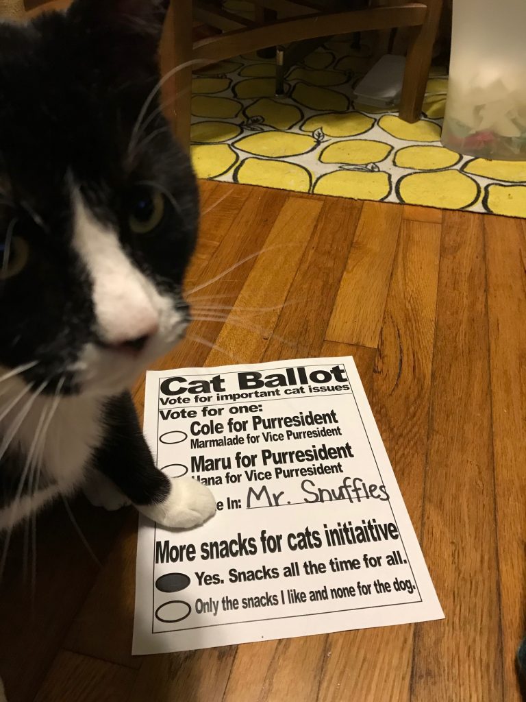 Charlie, a very handsome black and white cat, with his paw on his cat ballot where he has written in Mr. Snuffles for purresident and voted "YES, snacks all the time" on the more snacks for cats initiative. 
