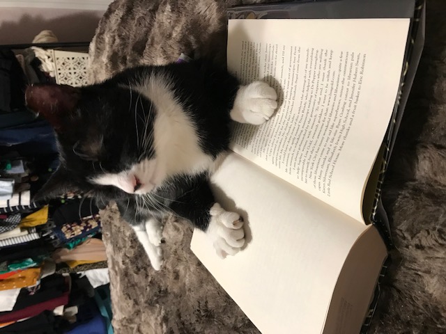 Charlie Lewis is a bookmark