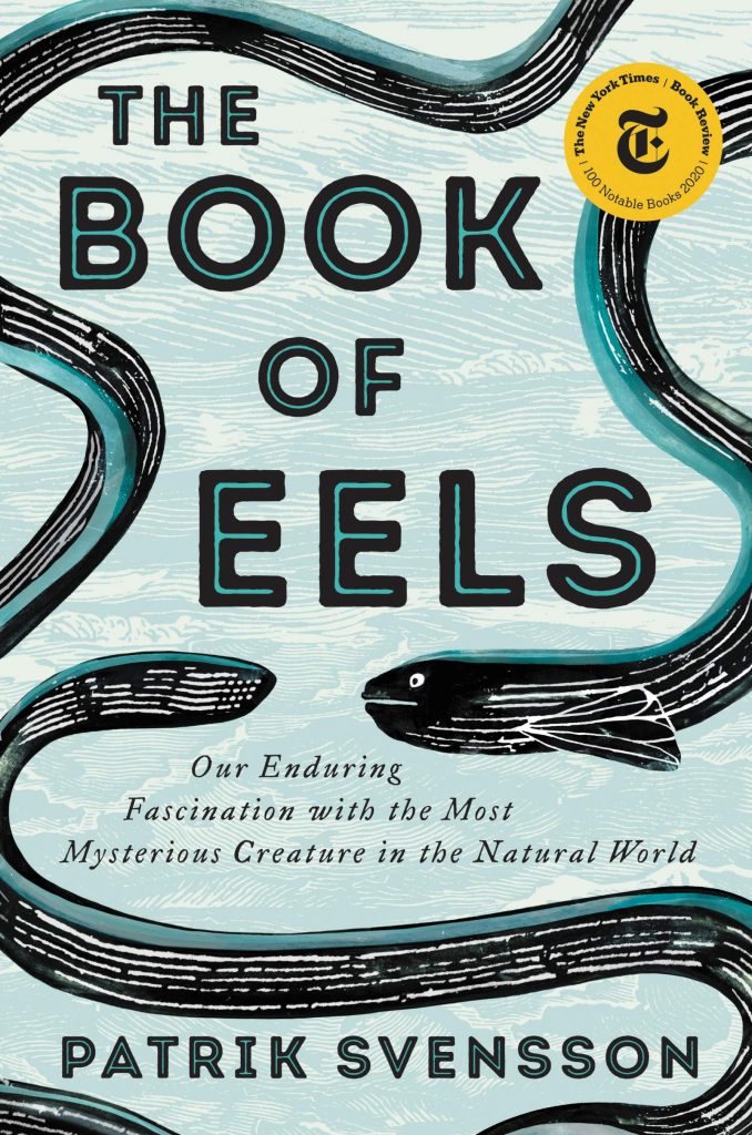 the book of eels by patrik svensson
